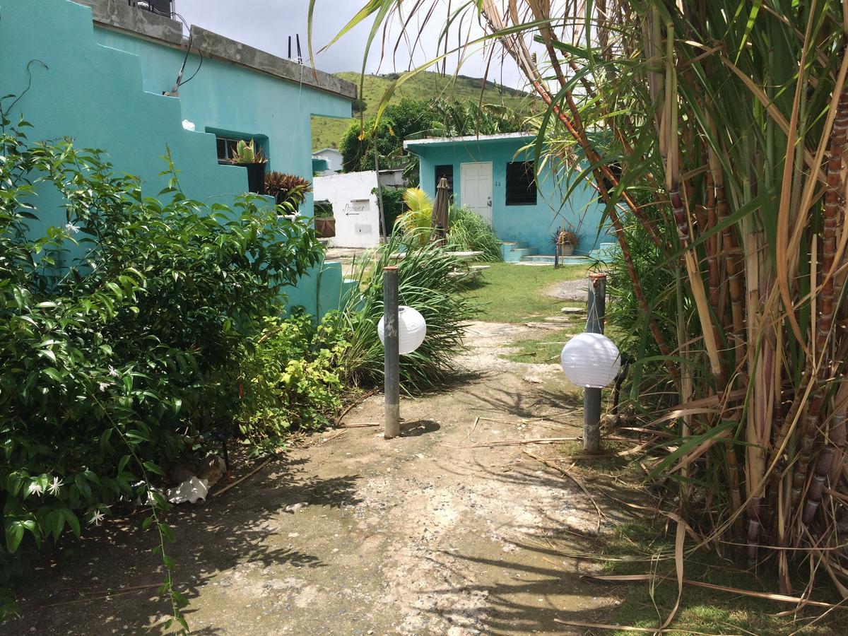 Vicky'S Keys Hostel Upper Prince's Quarter ภายนอก รูปภาพ