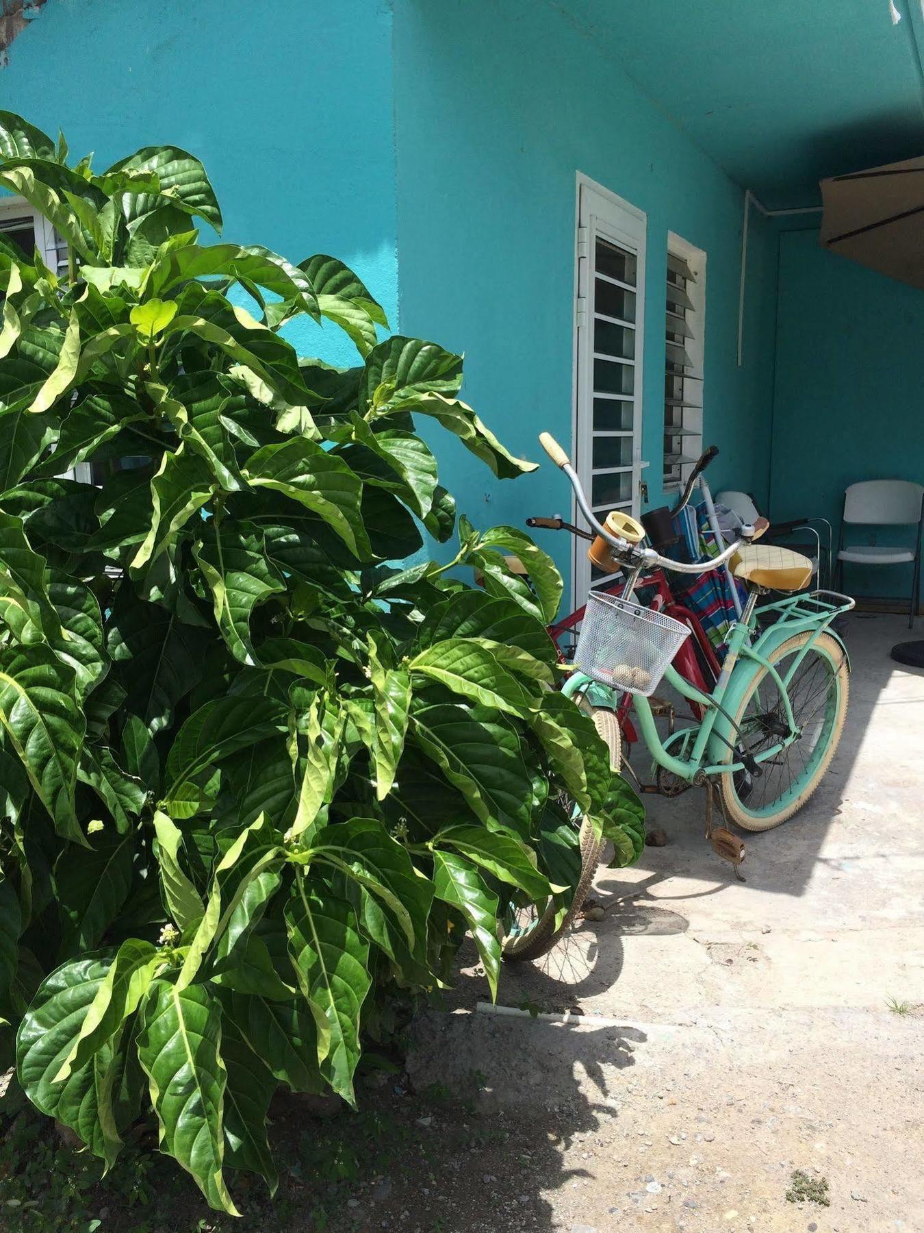 Vicky'S Keys Hostel Upper Prince's Quarter ภายนอก รูปภาพ
