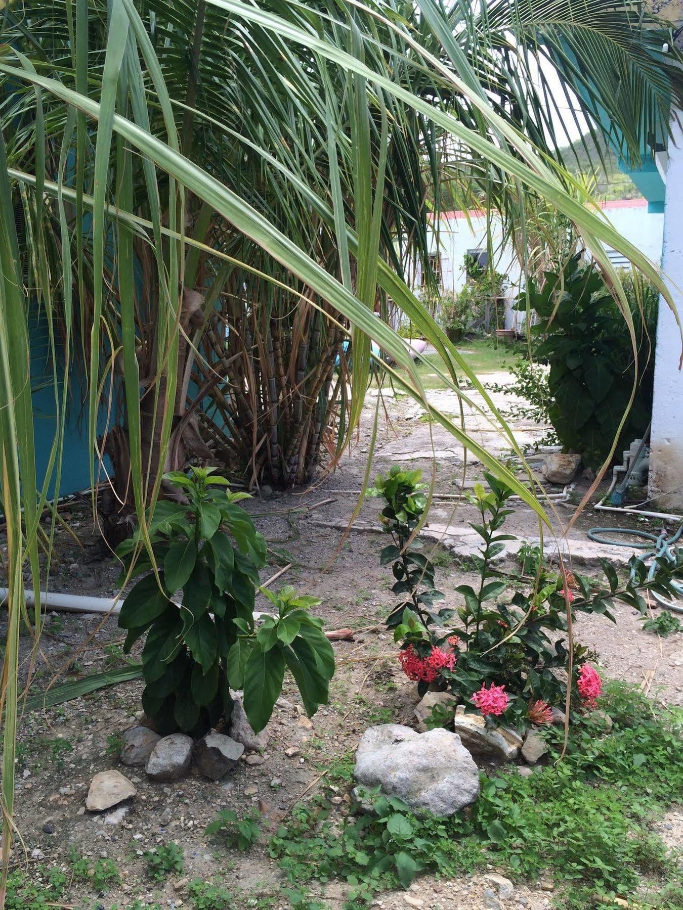 Vicky'S Keys Hostel Upper Prince's Quarter ภายนอก รูปภาพ